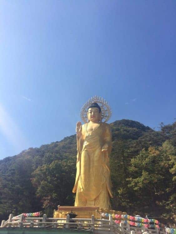 Beopjusa Temple Stay in Korea