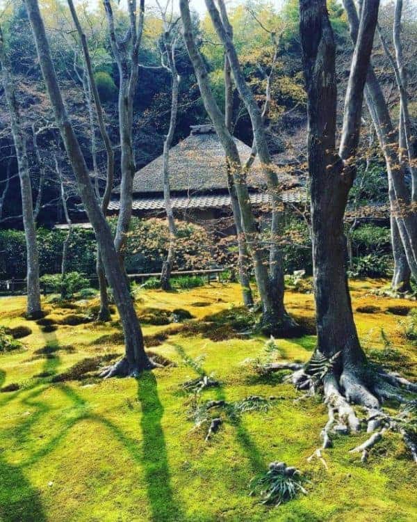 Kyoto itinerary