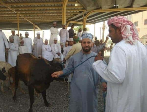 Nizwa friday market