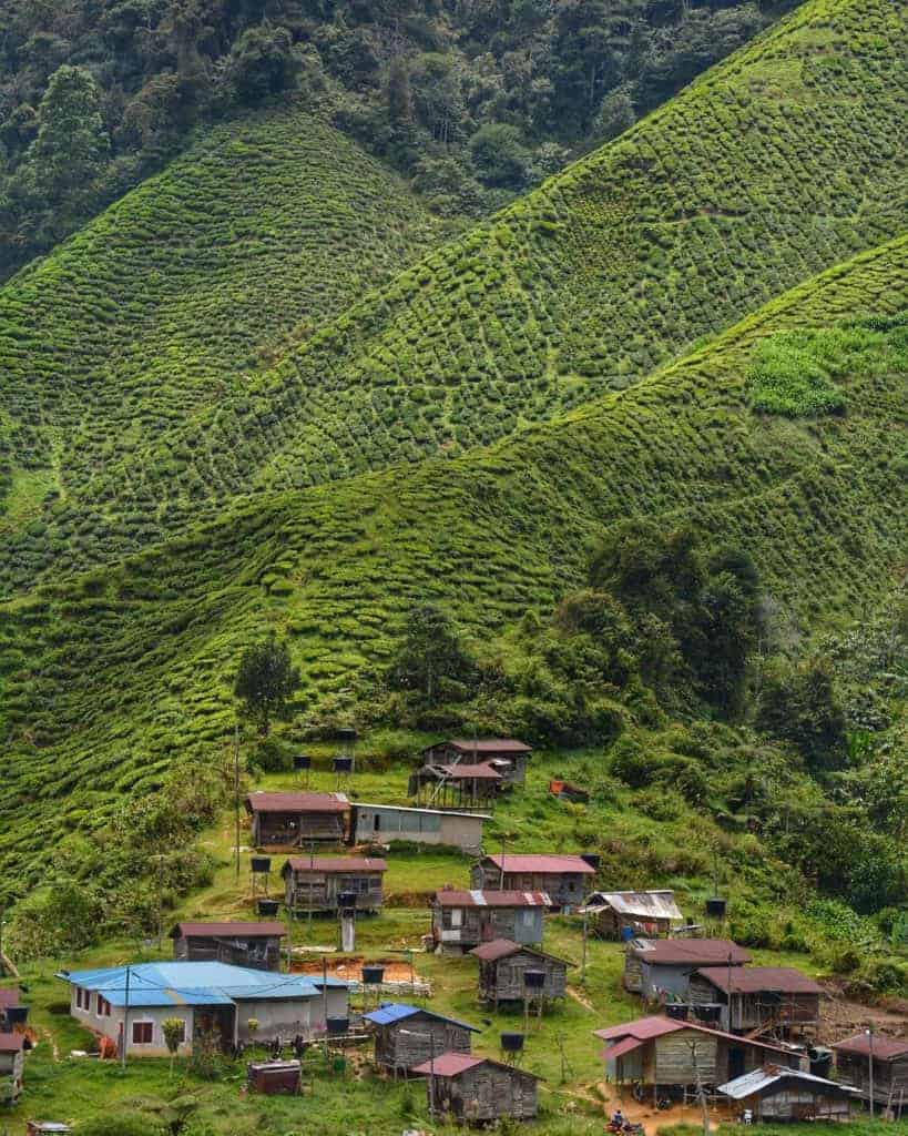 Cameron Highlands houses of Orang Asli people