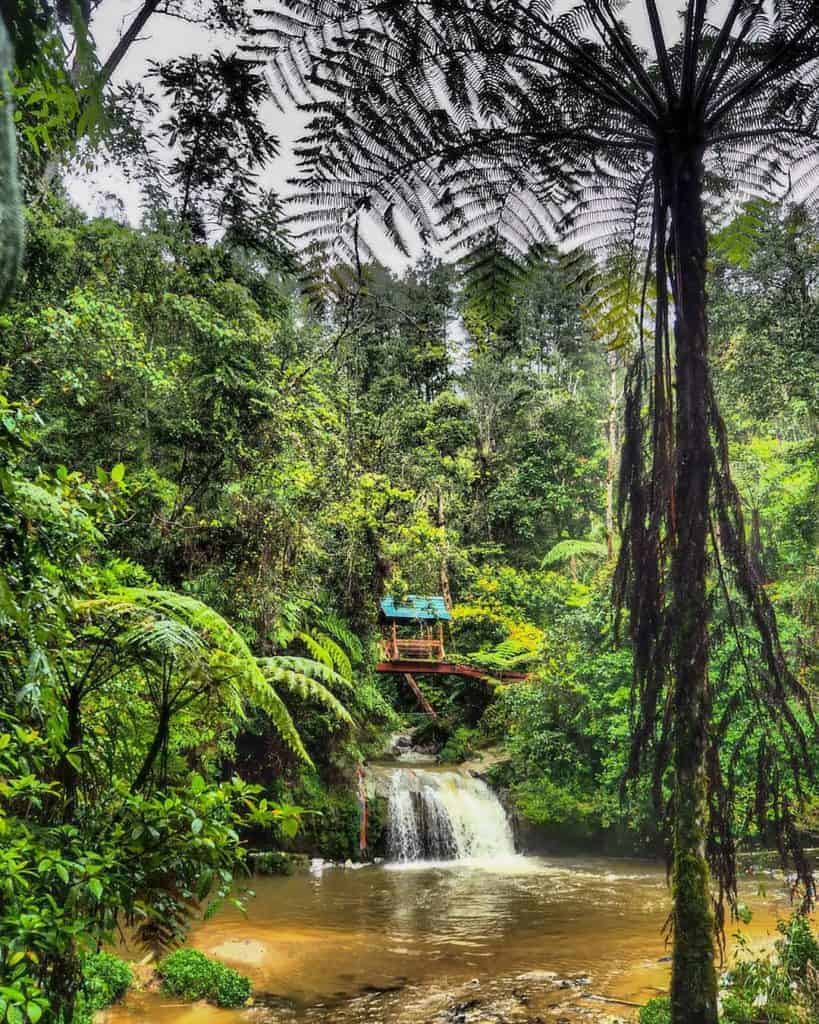 Hidden waterfalls of Cameron Highlands