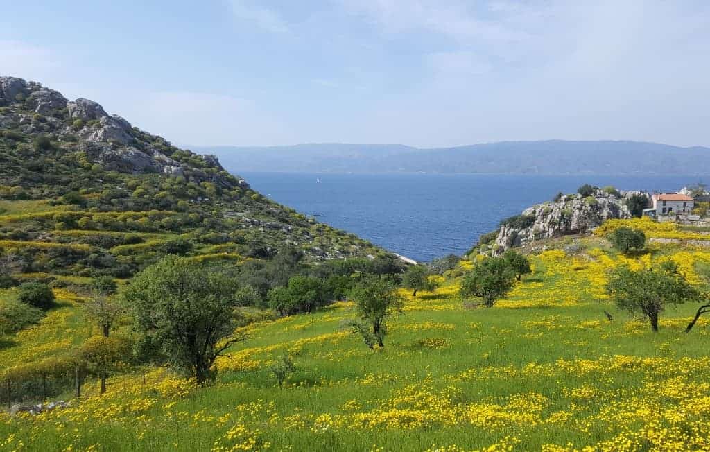 Best Greek islands for couples: Hydra, Saronic Gulf