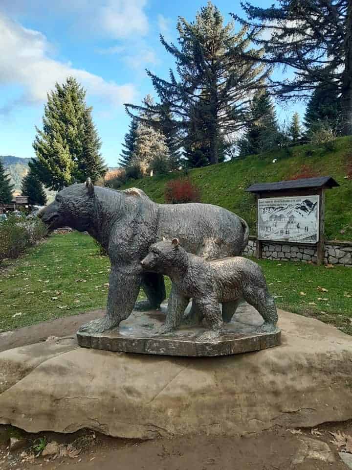 Epirus is the only region of Greece where you can still find wild brown bears - Metsovo bear statue 