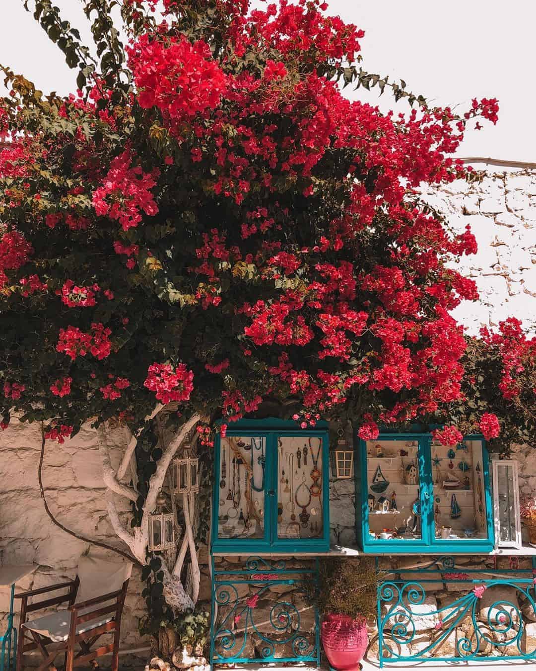 Milos Island, Cyclades, Greece