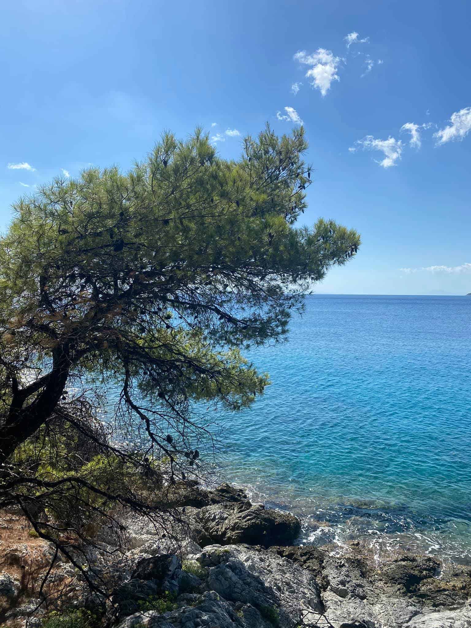 Amarandos Cape Skopelos Greece