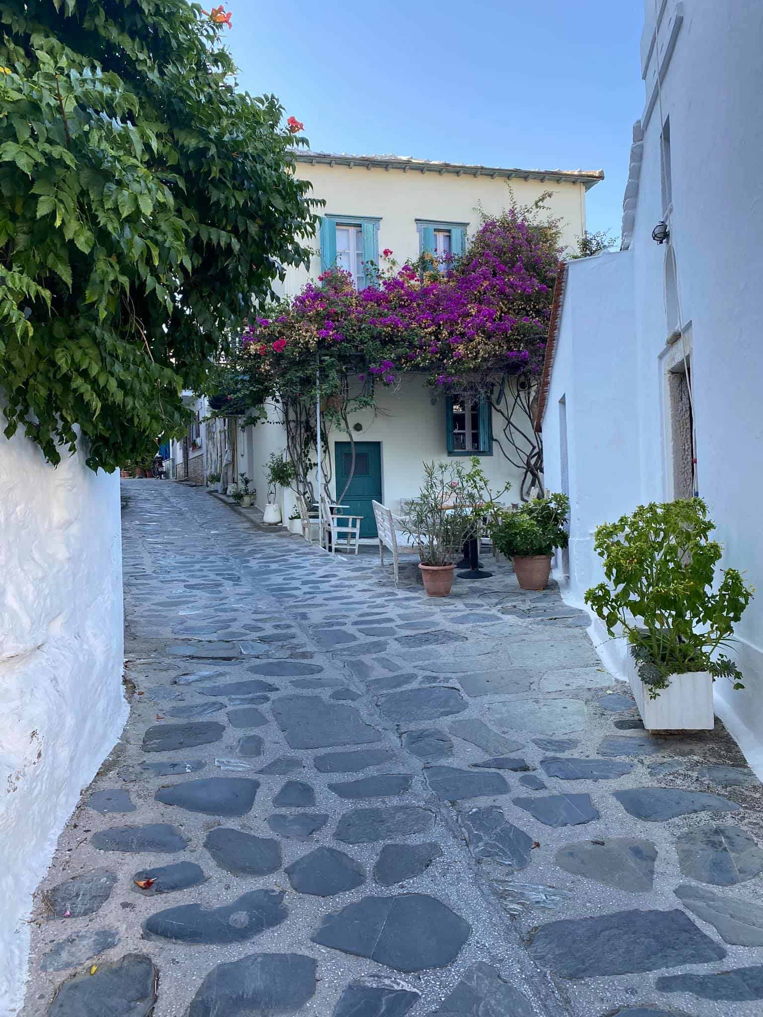 Meander through the narrow streets of Skopelos town 