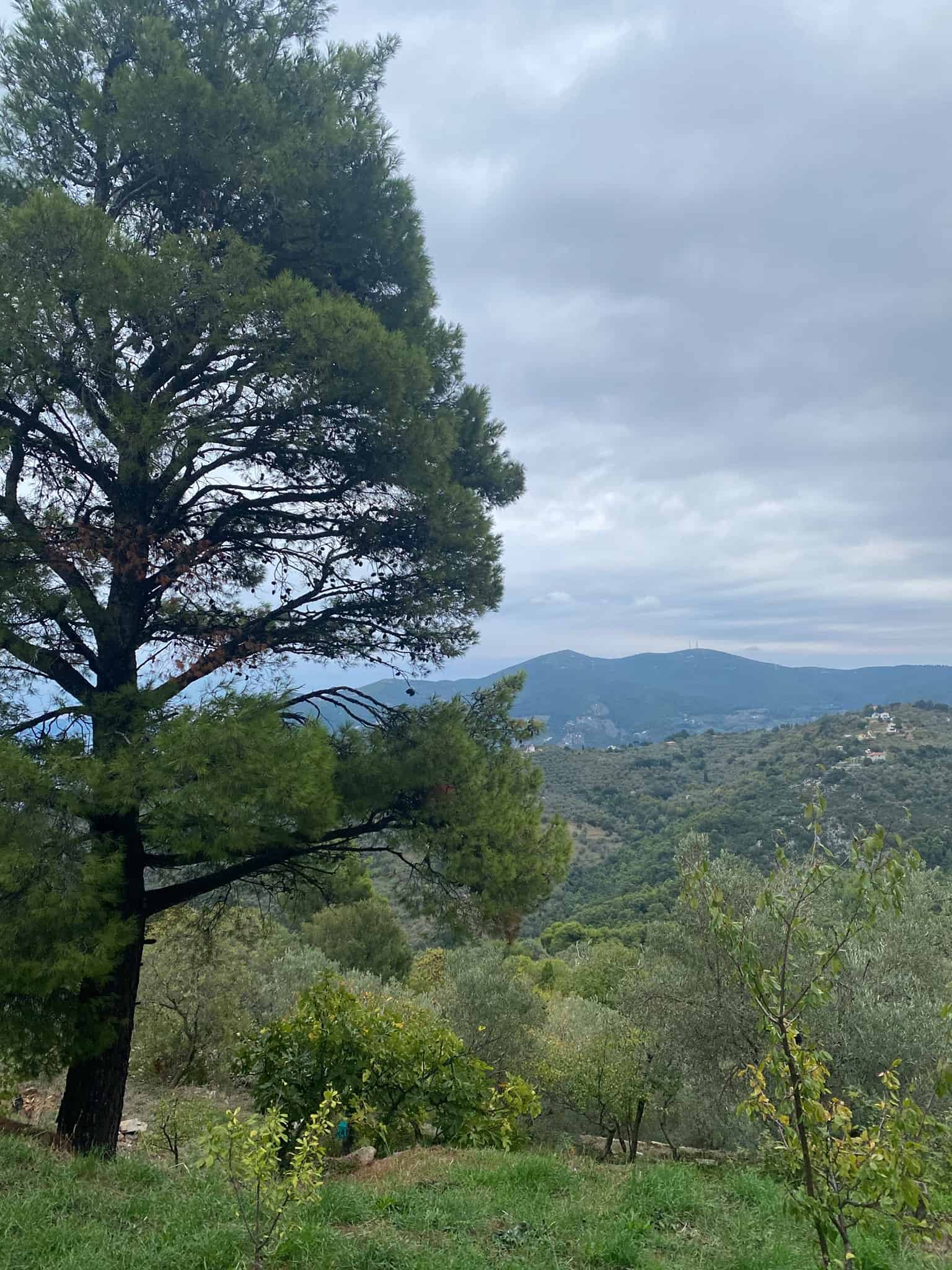 Hiking in Skopelos