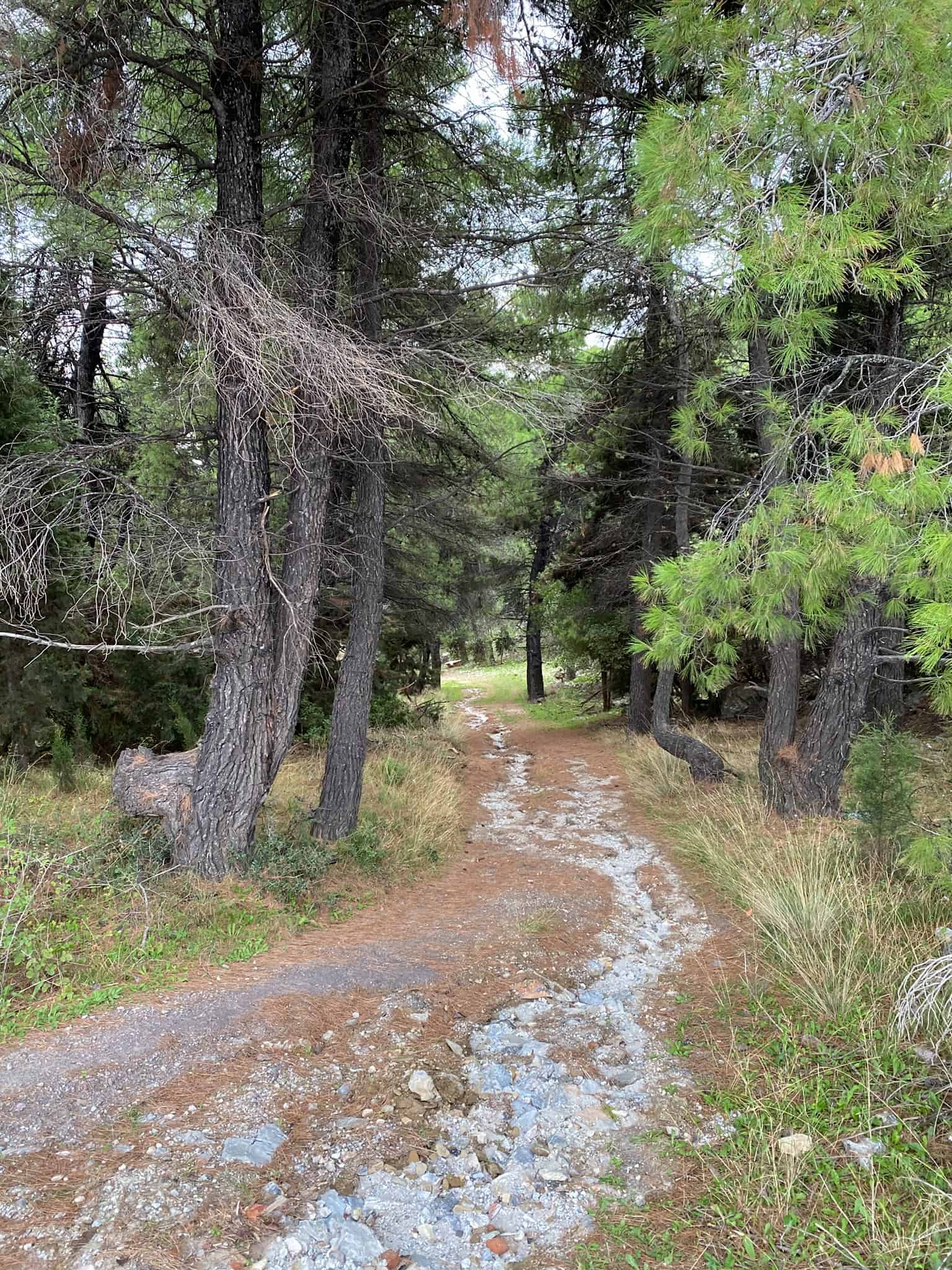 Hiking in Skopelos