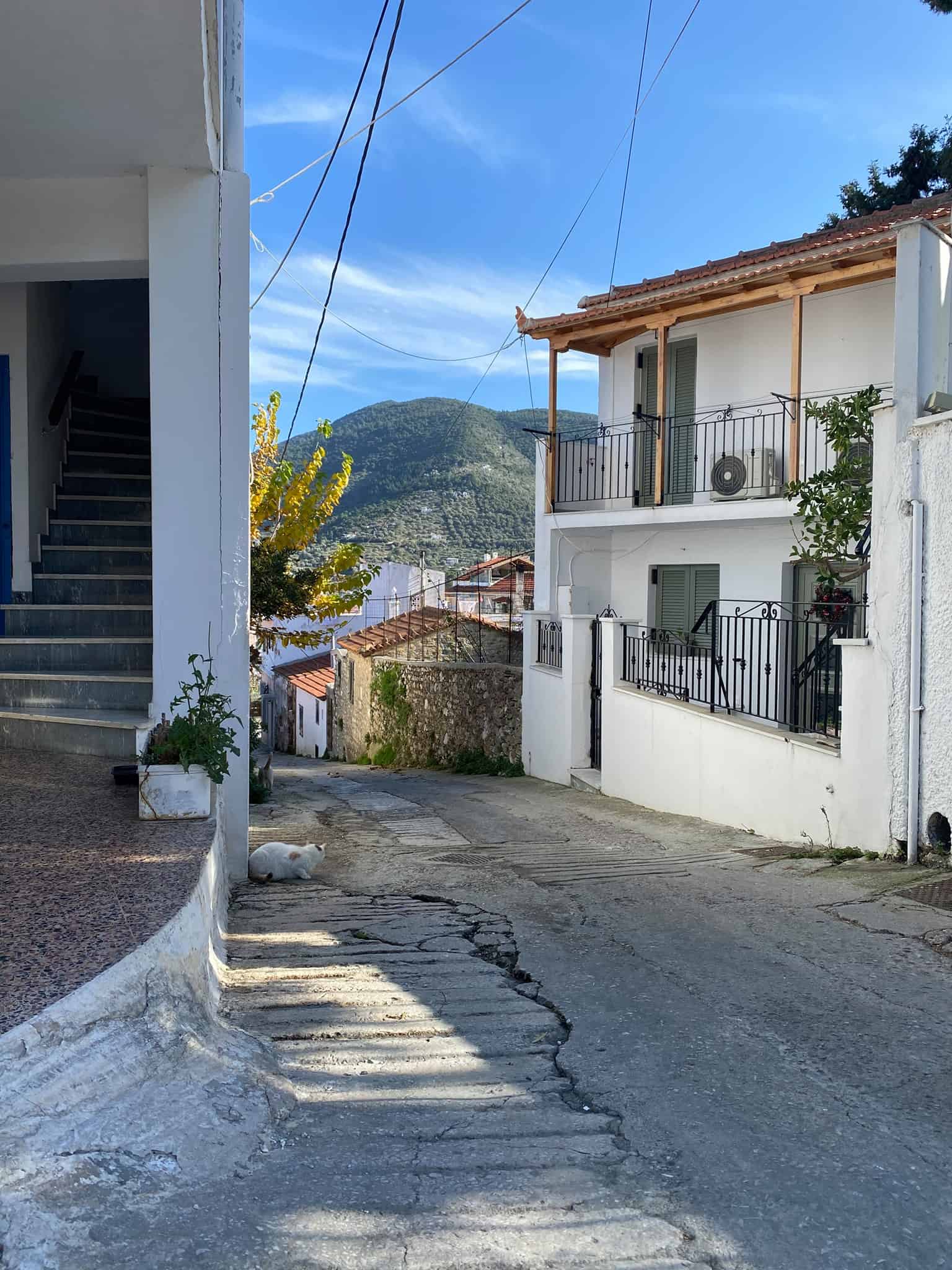 The little streets of Skopelos town