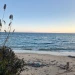 Skiathos Beaches: The Best Beaches to Visit on Skiathos Island in 2022