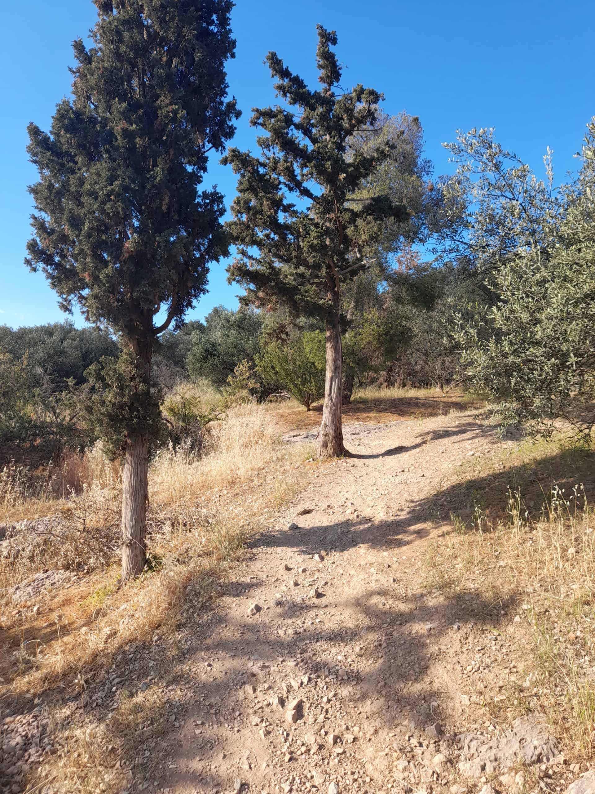 Walking in Filopappou Hill