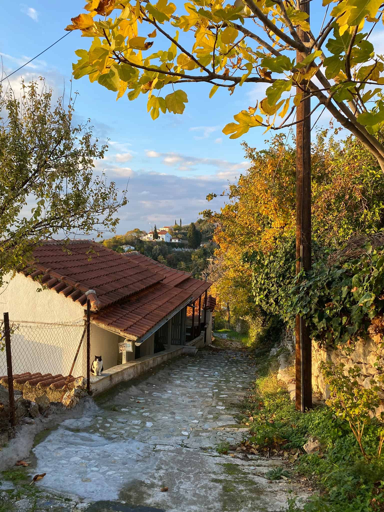 Starting the trail from Palio Klima to Glossa