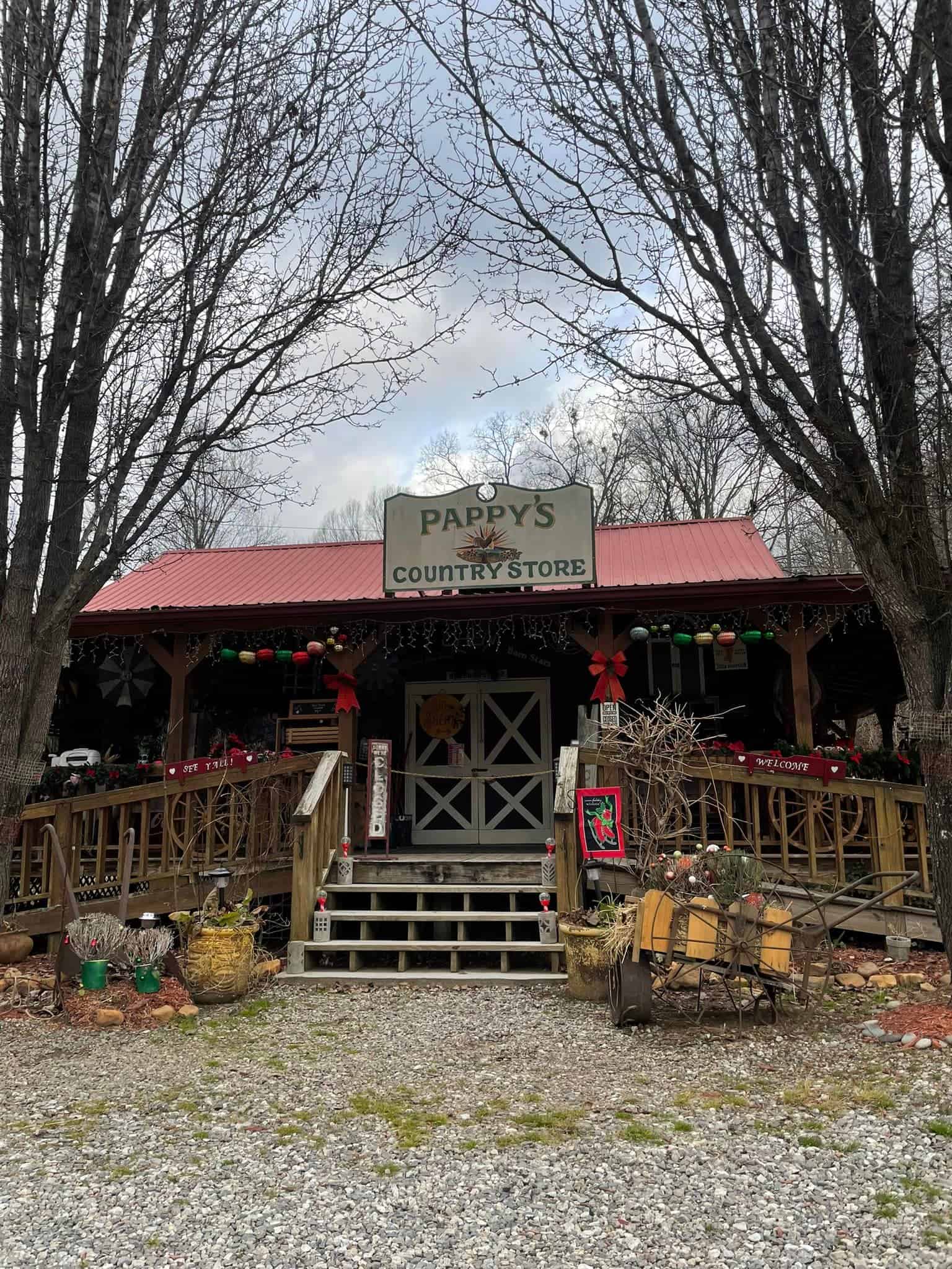 tour of trees blairsville ga