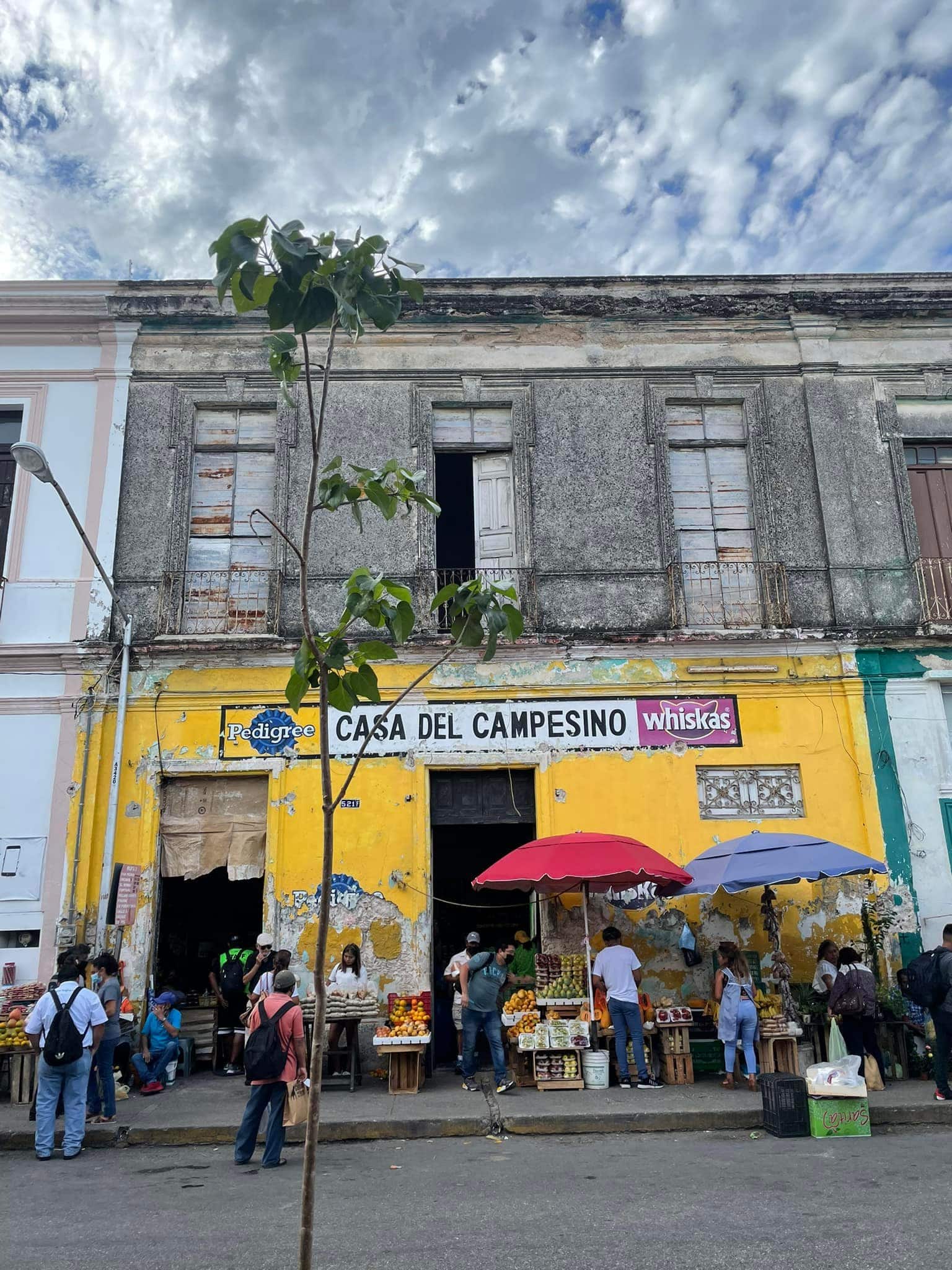 Getting from Cancun to Merida