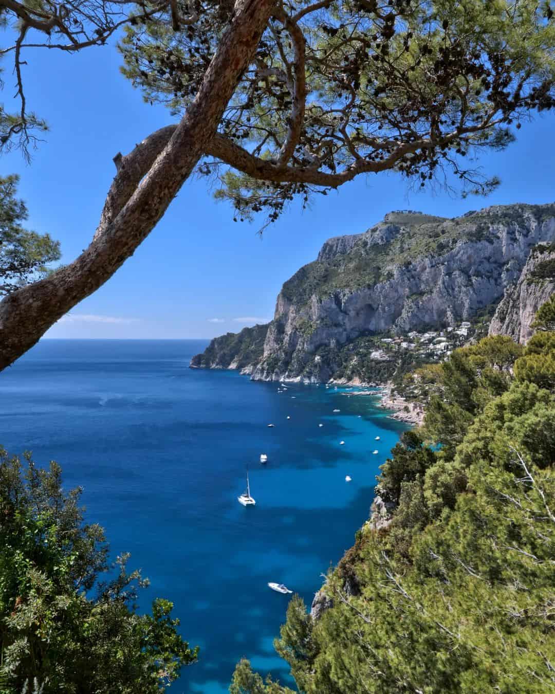 One day in Capri