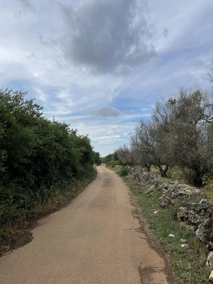 Renting a car in Puglia