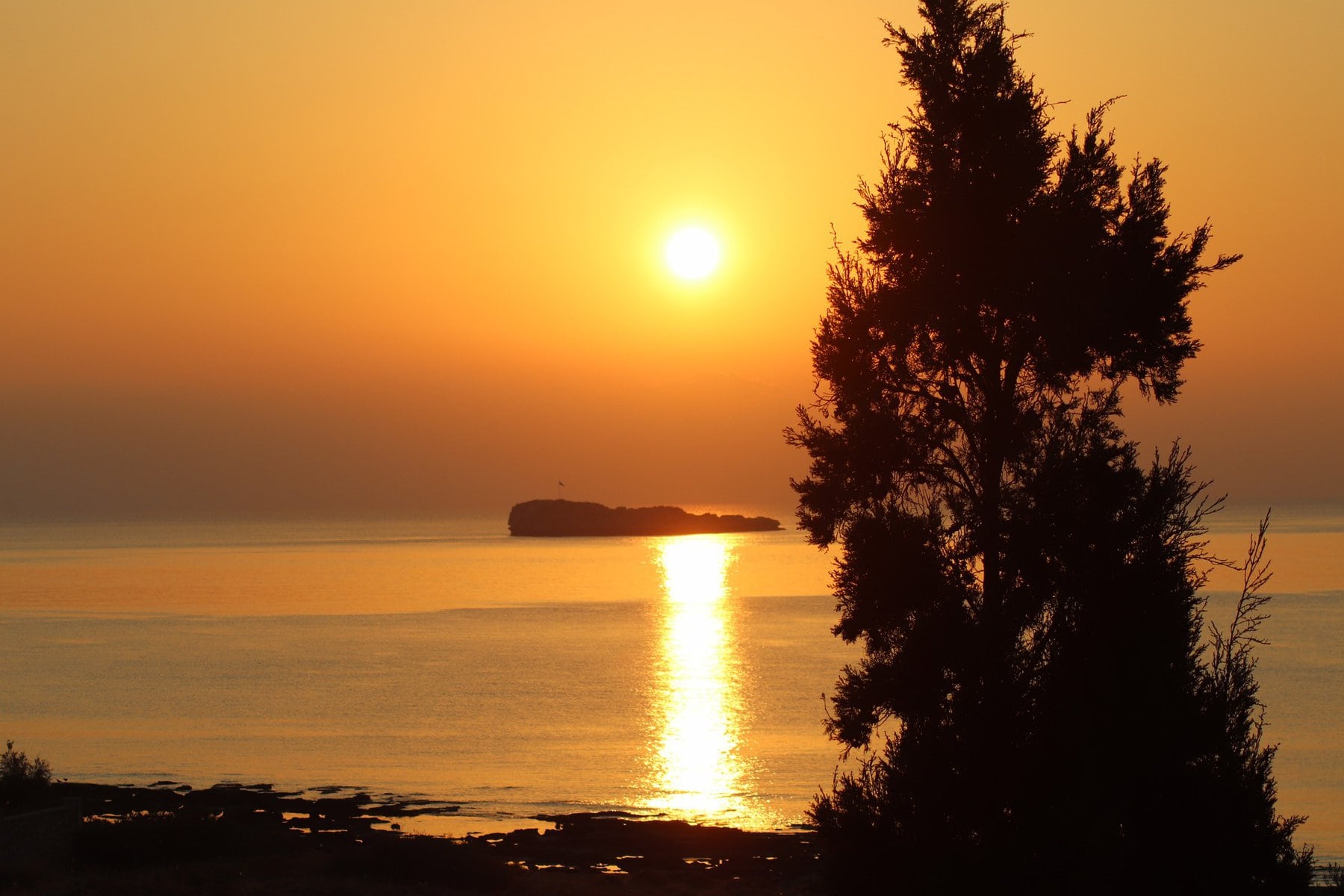 Sunset view with a tree in Lindos Greece